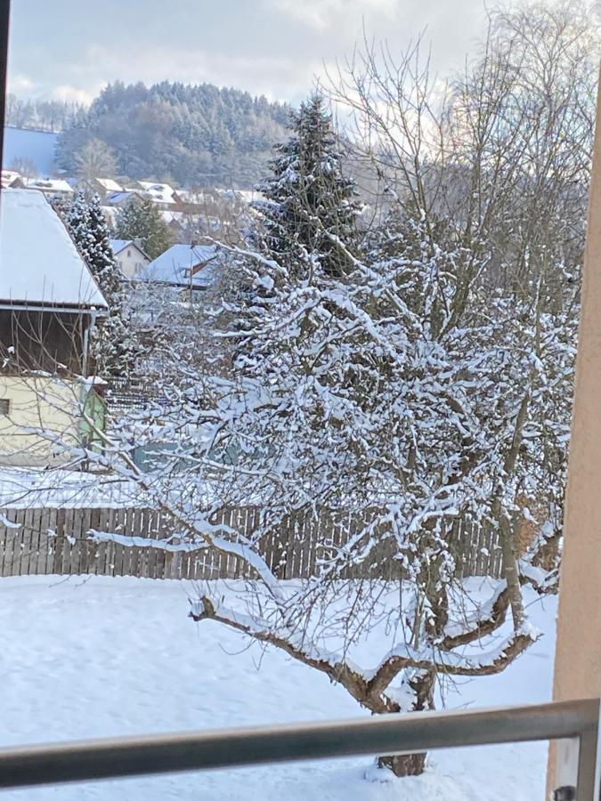 Grosszuegig Und Komfortabel:Ferienwohnung Im Bayerischen Wald! Wiesenfelden Exteriör bild